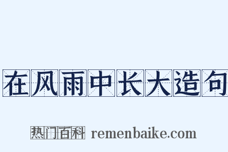 在风雨中长大造句是什么意思的图片